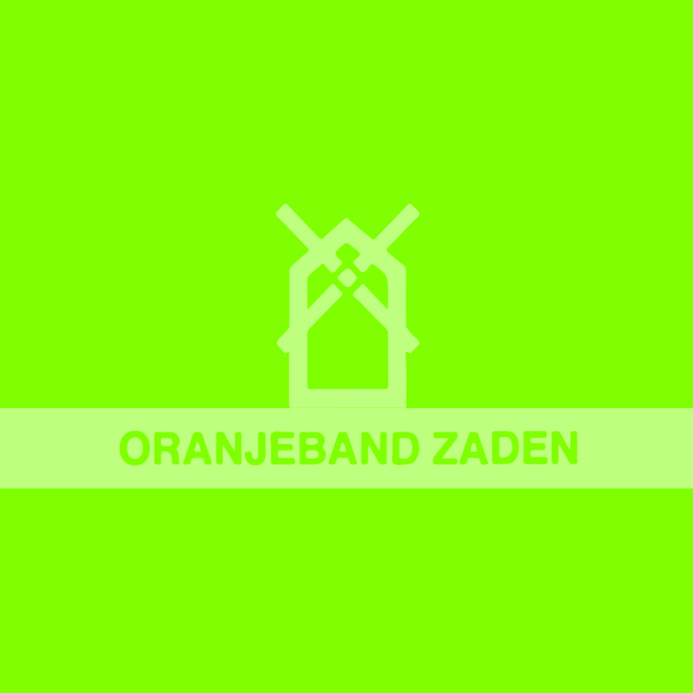 Oranjeband zaden