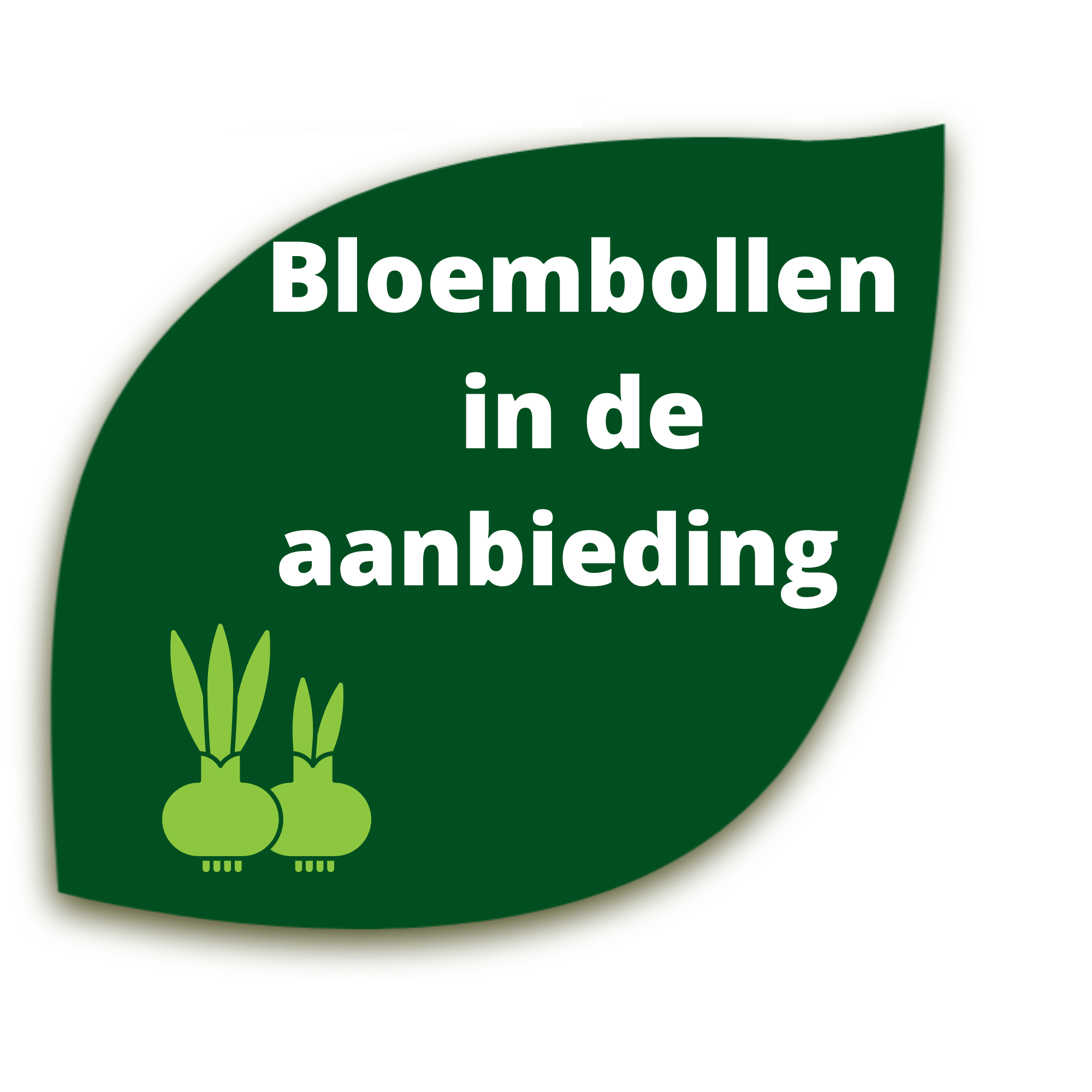 bloembol