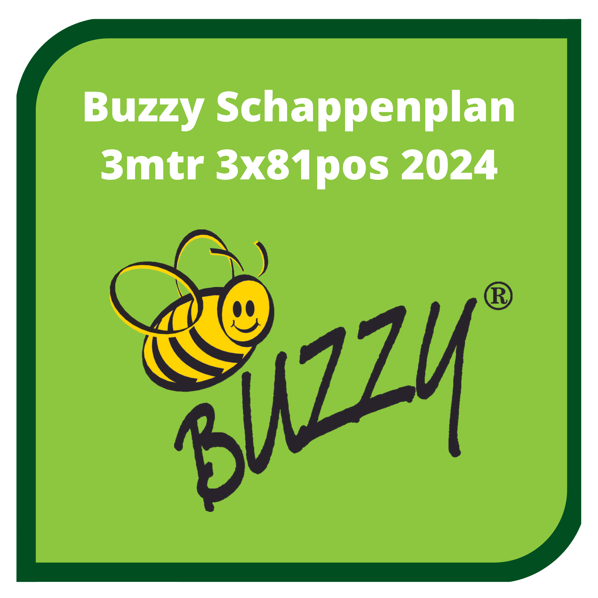 buzzy 3m 2024