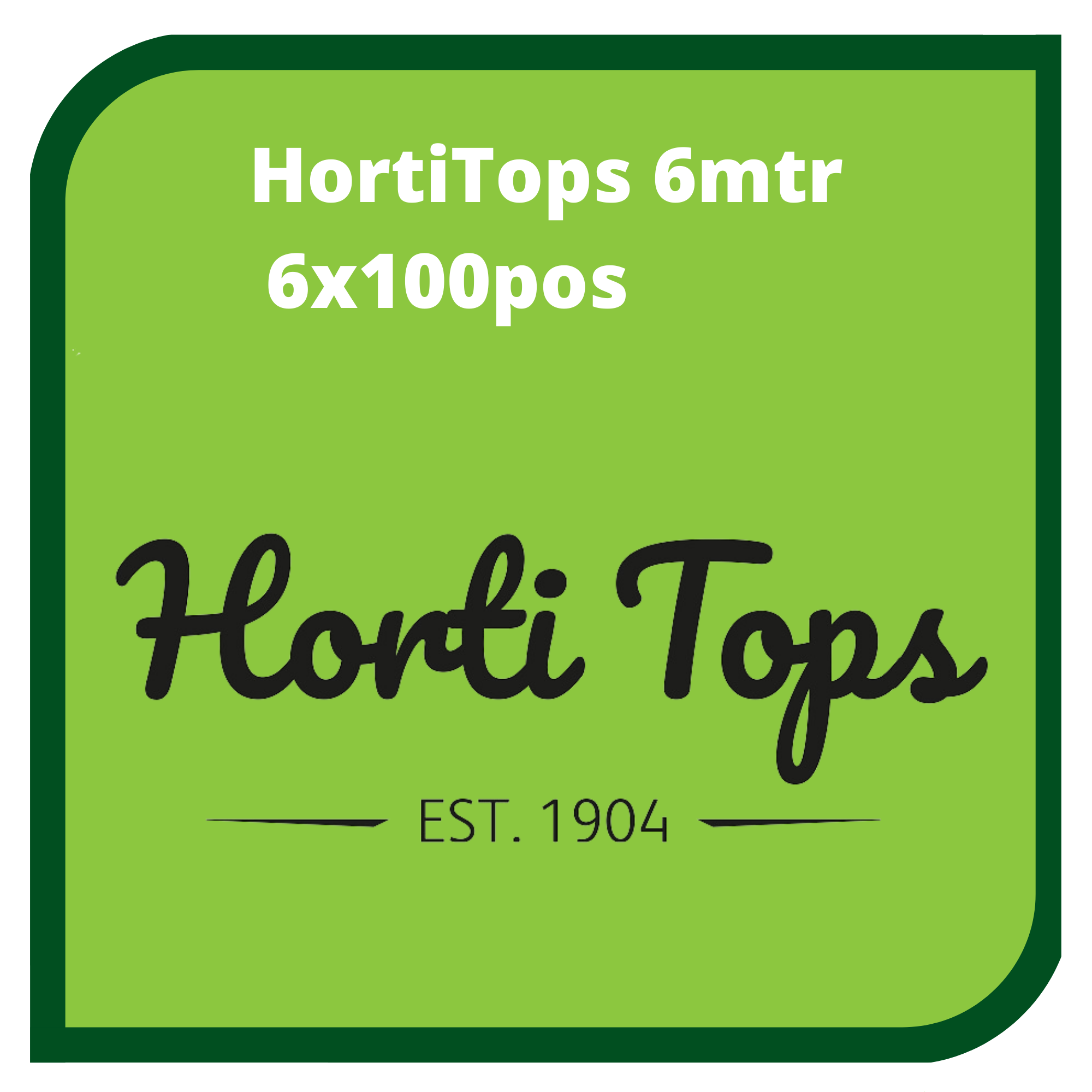 ht 6m 2025