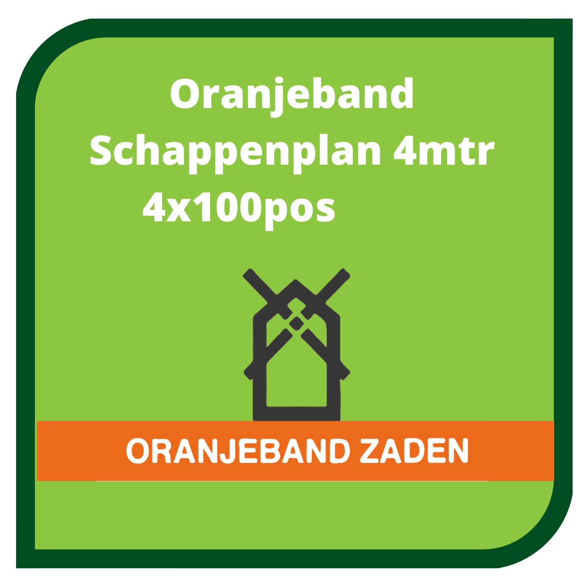 obz 4m 2025