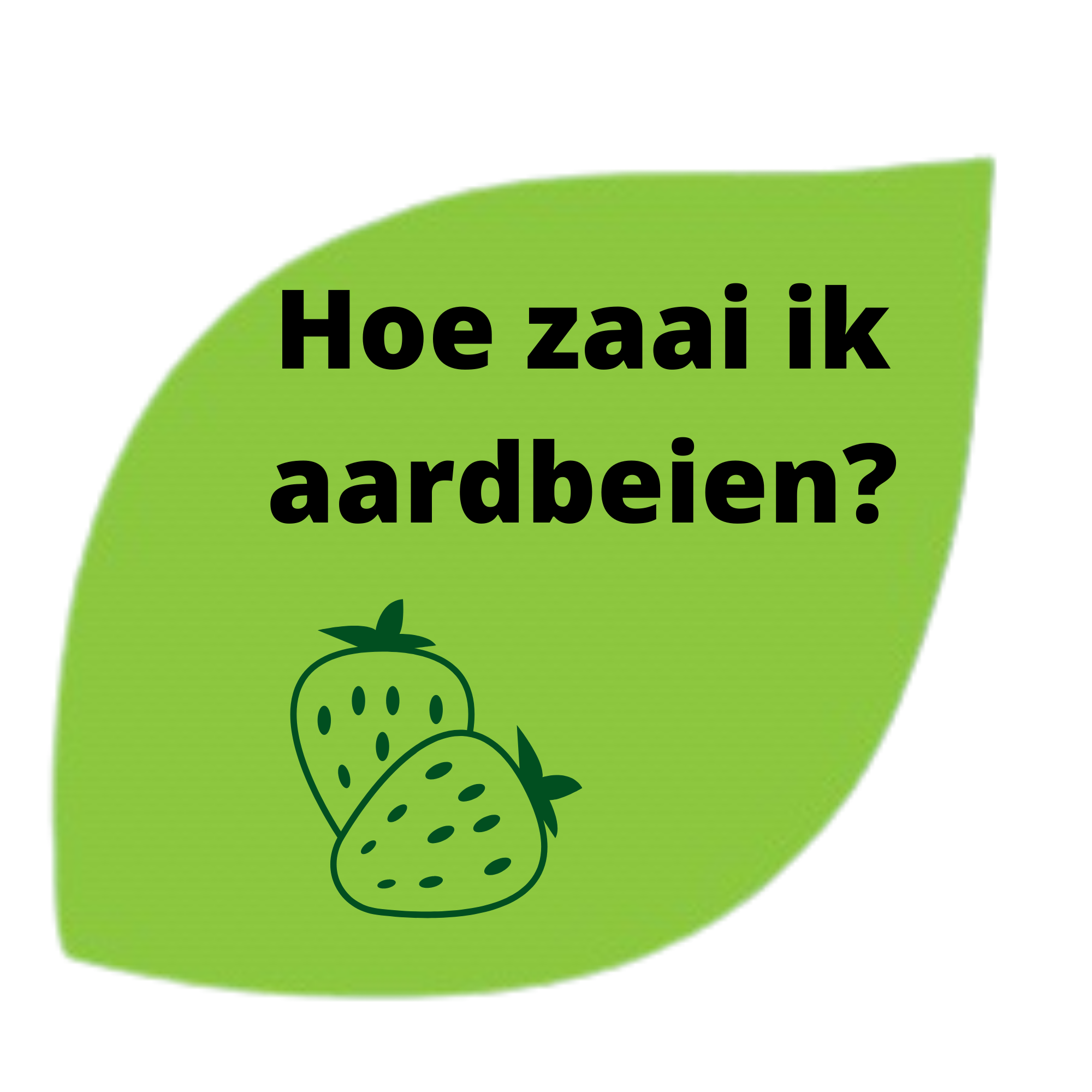 aardbei zaaien