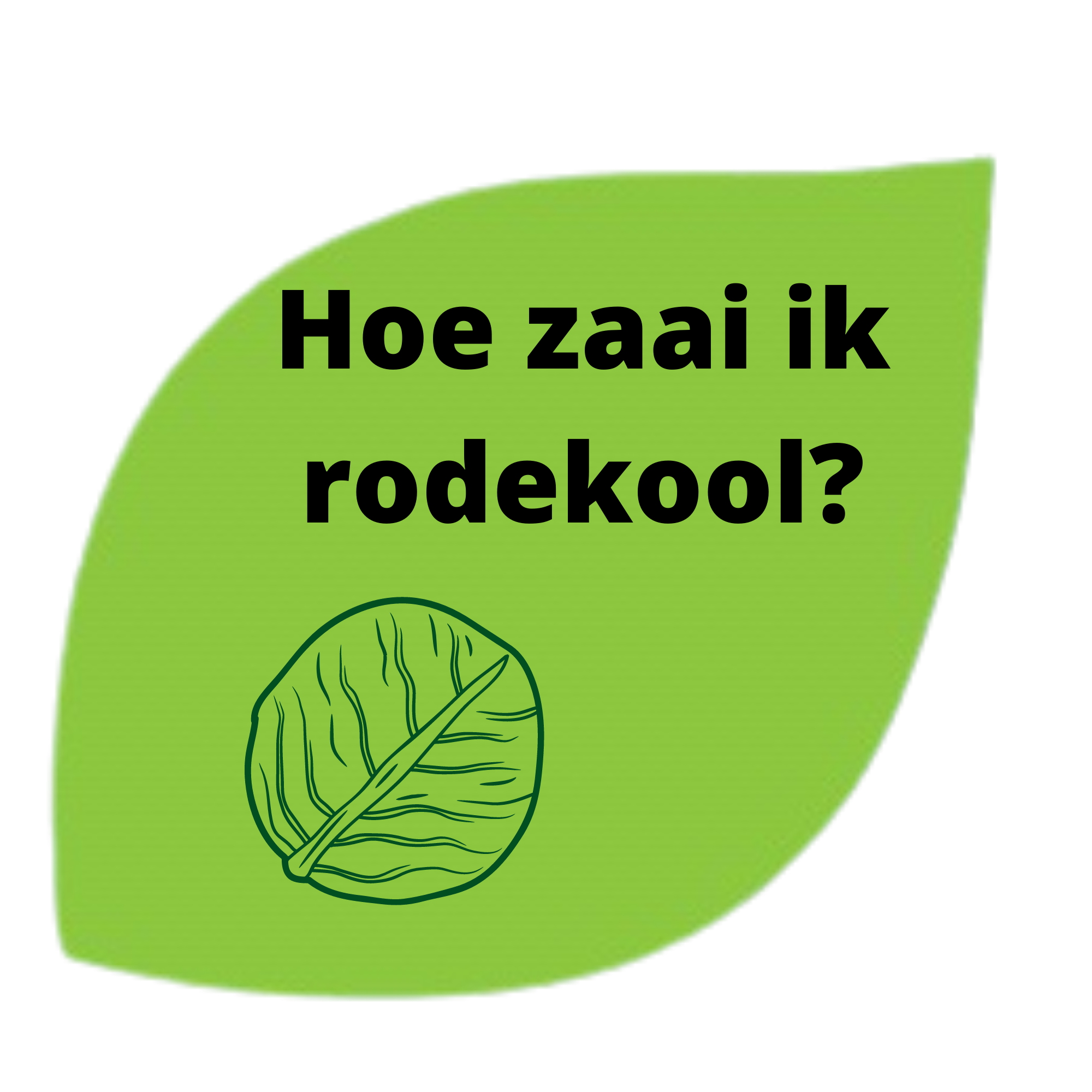 rodekool