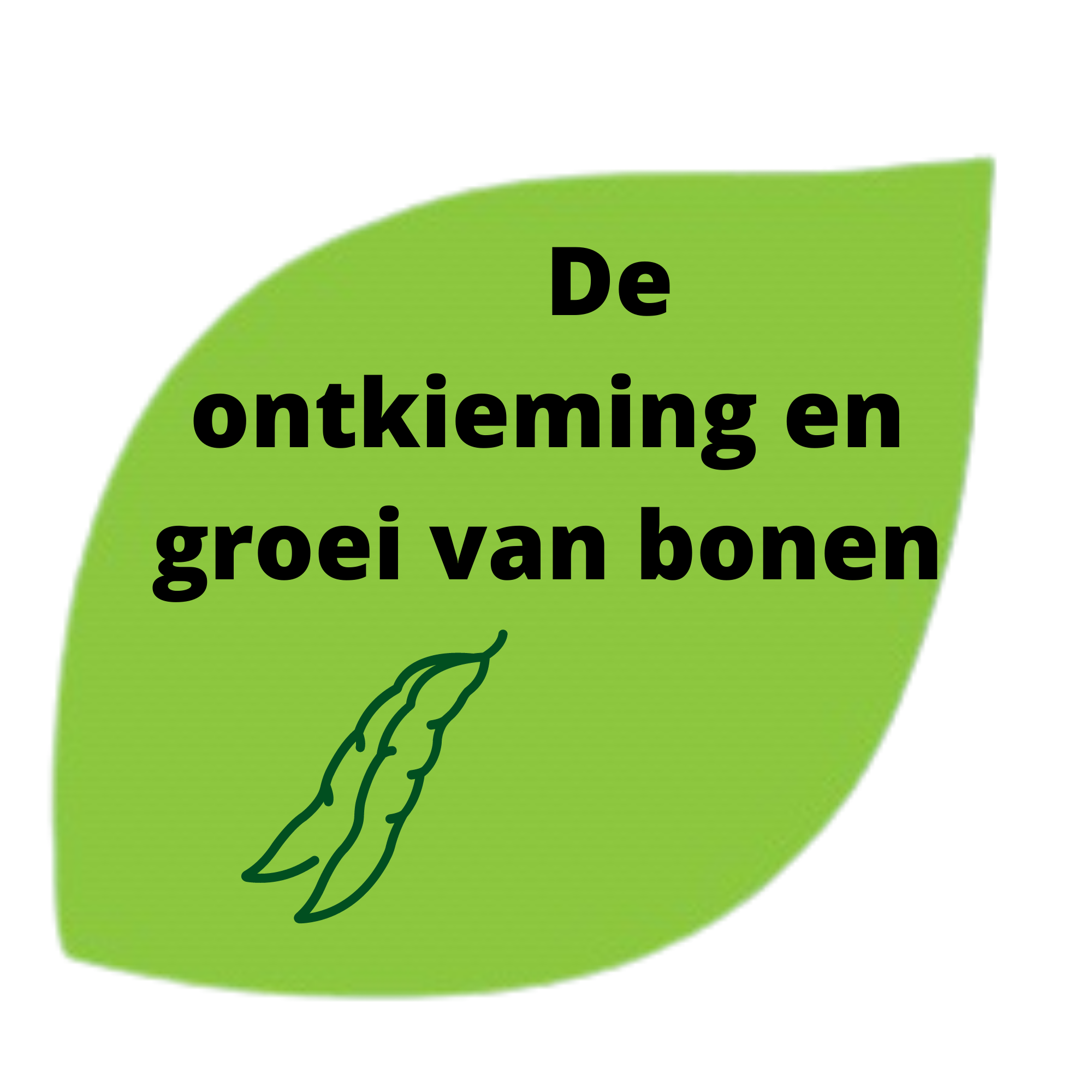 boon groeien