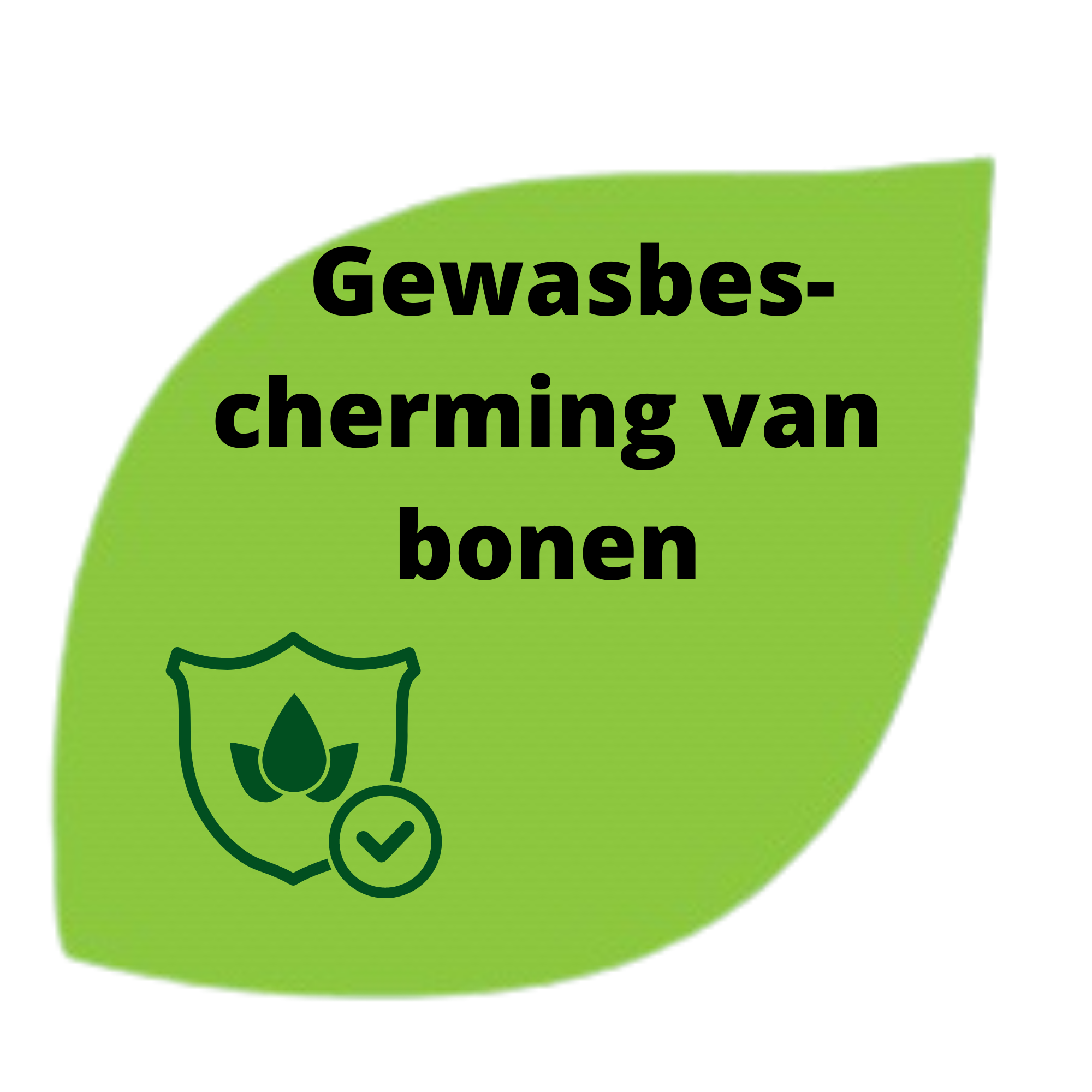 gewassen