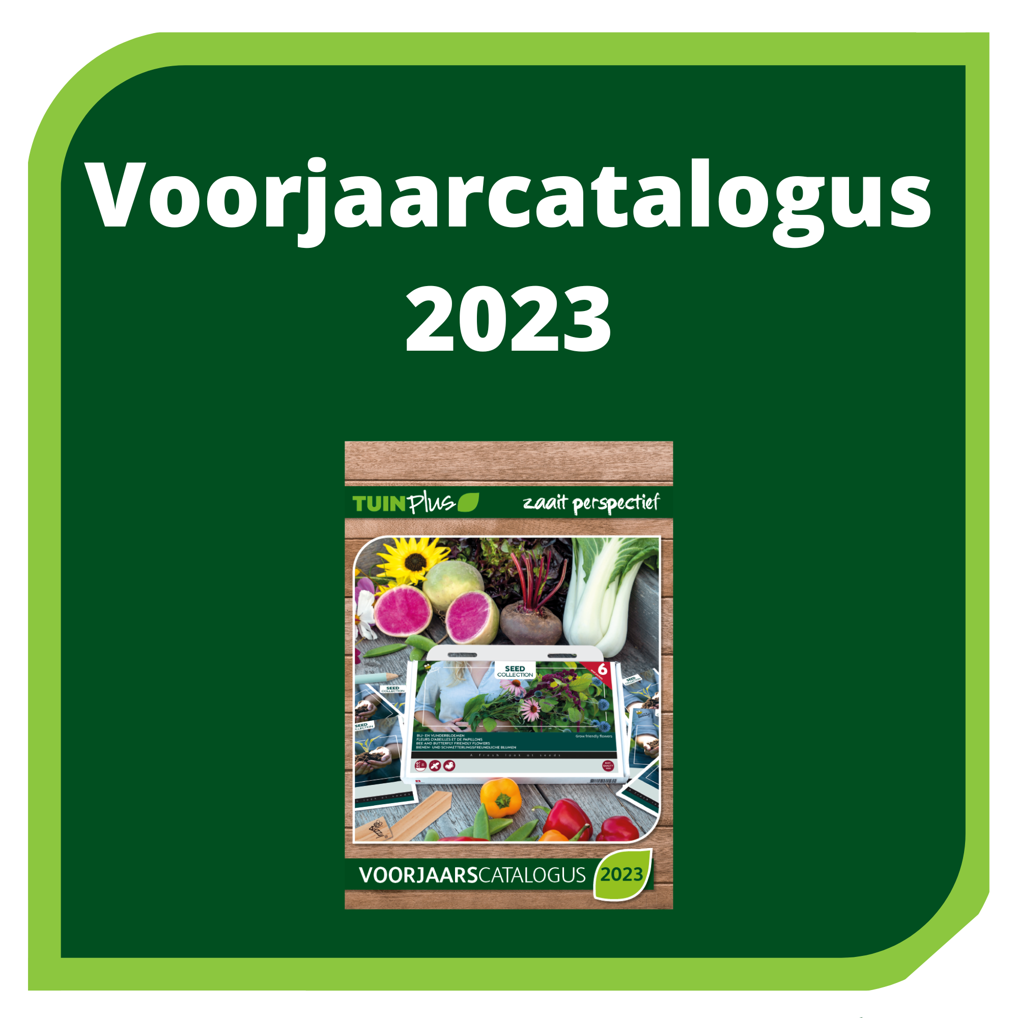voorjaar catalogus 2023