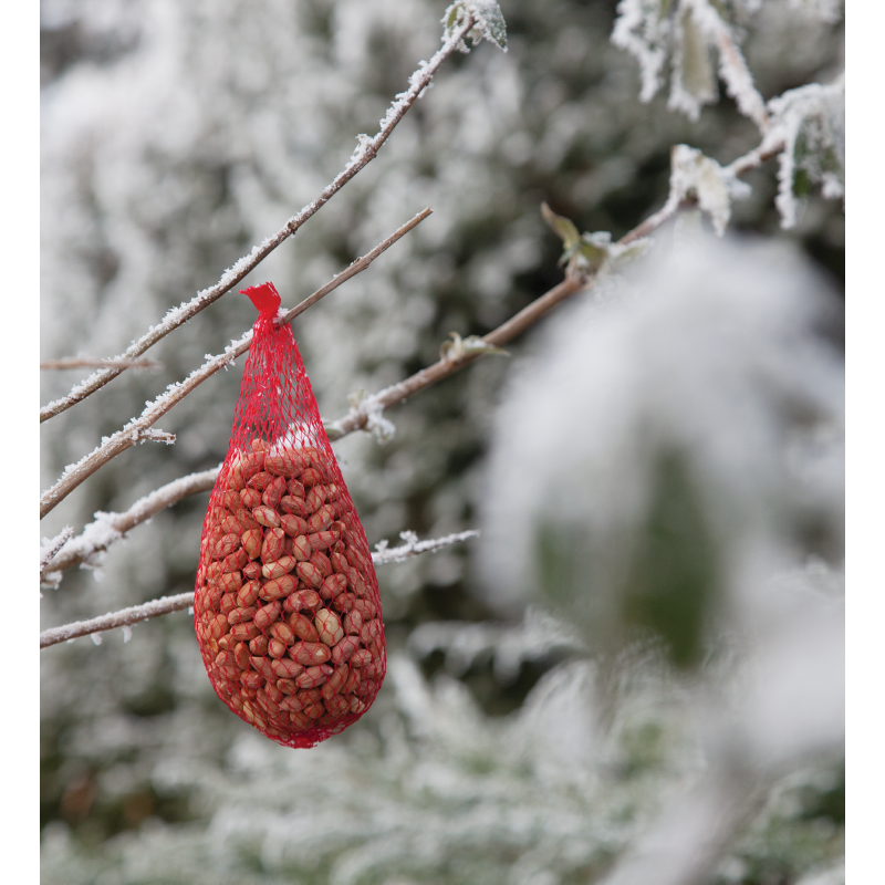Bûten Food Pindanetje 200g