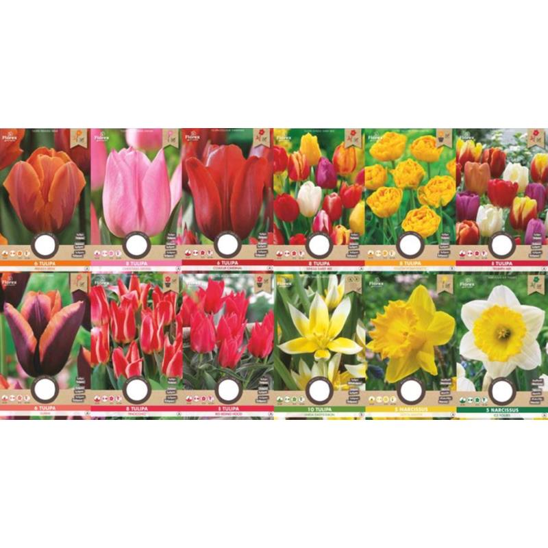 Voordeelserie Bloembollen Najaar 180 zakjes