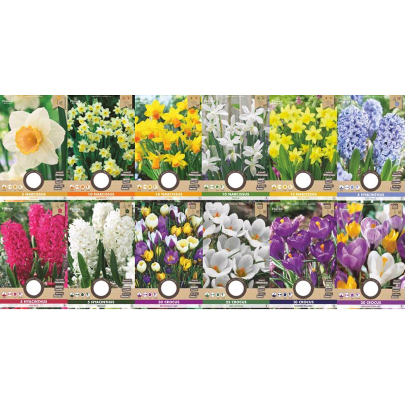 Voordeelserie Bloembollen Najaar 180 zakjes