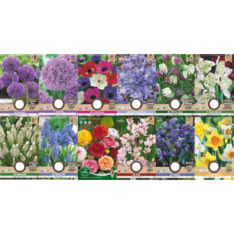 Voordeelserie Bloembollen Najaar 180 zakjes