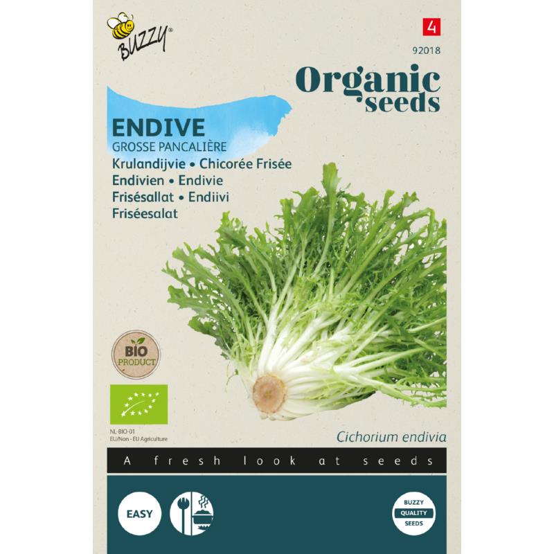Tuinplus Buzzy Organic Endive Grosse Pancaliere Bio