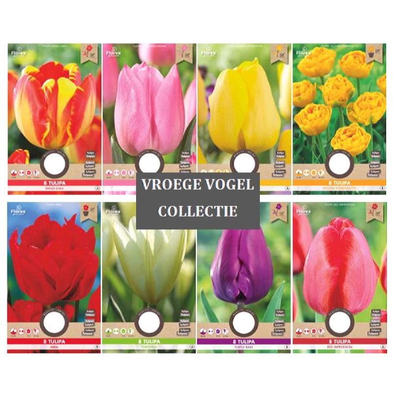 Vroege Vogel Collectie Najaar 100 Zakjes