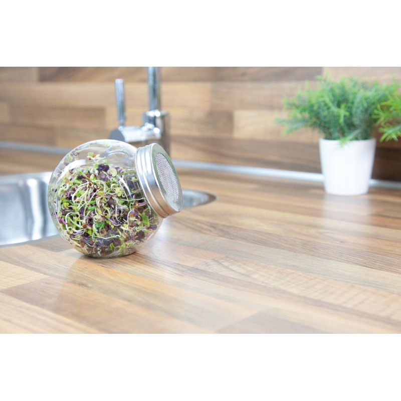 Buzzy® Organic Sprouting pot Pikante Salade BIO