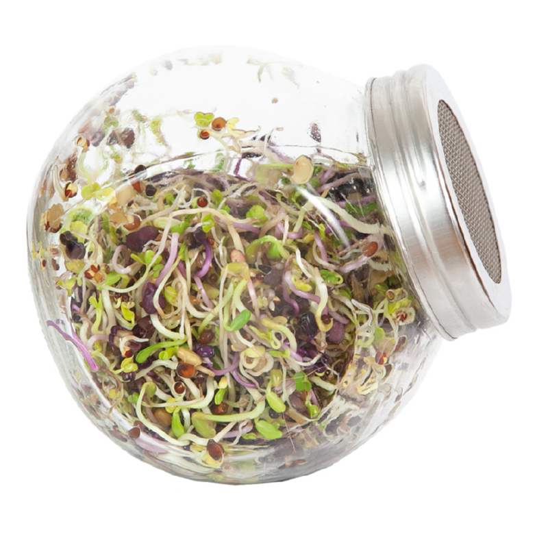 Buzzy® Organic Sprouting pot Pikante Salade BIO