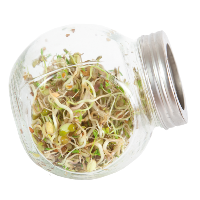 Buzzy® Organic Sprouting pot Salademix BIO