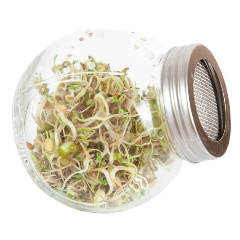 Buzzy® Organic Sprouting pot Salademix BIO