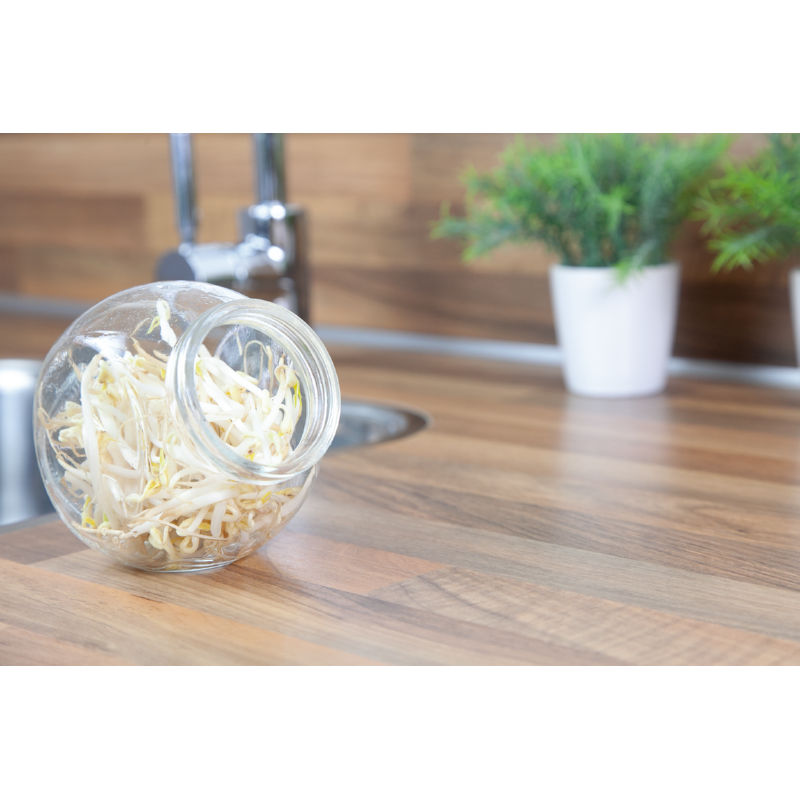 Buzzy® Organic Sprouting pot Tauge  BIO