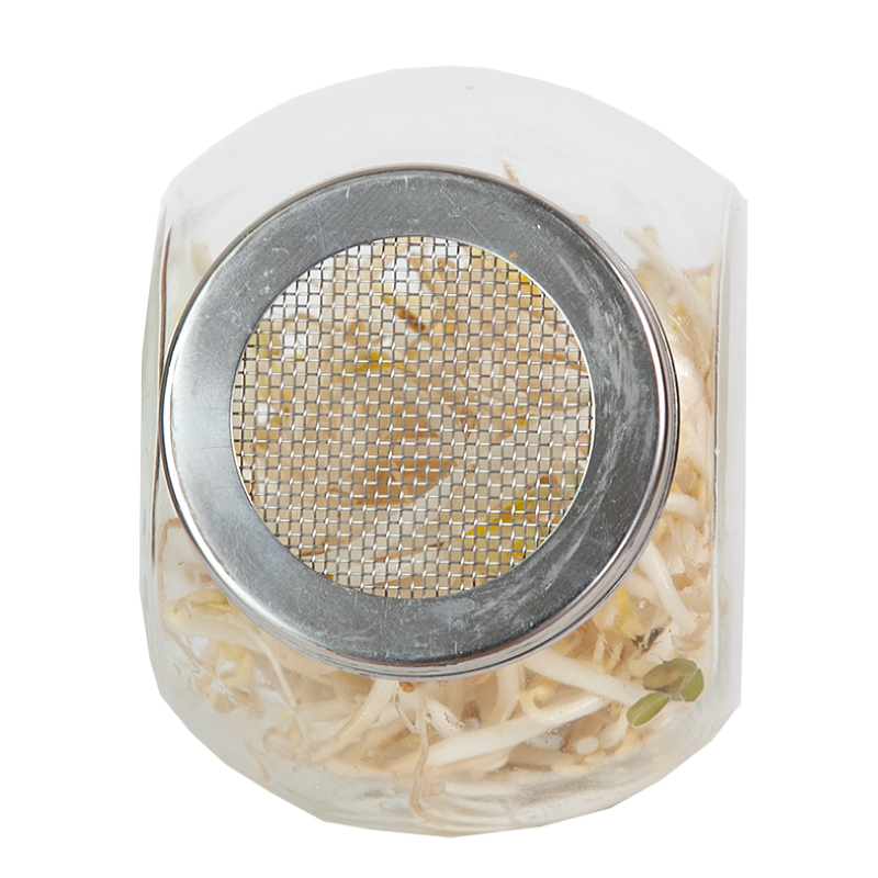 Buzzy® Organic Sprouting pot Tauge  BIO