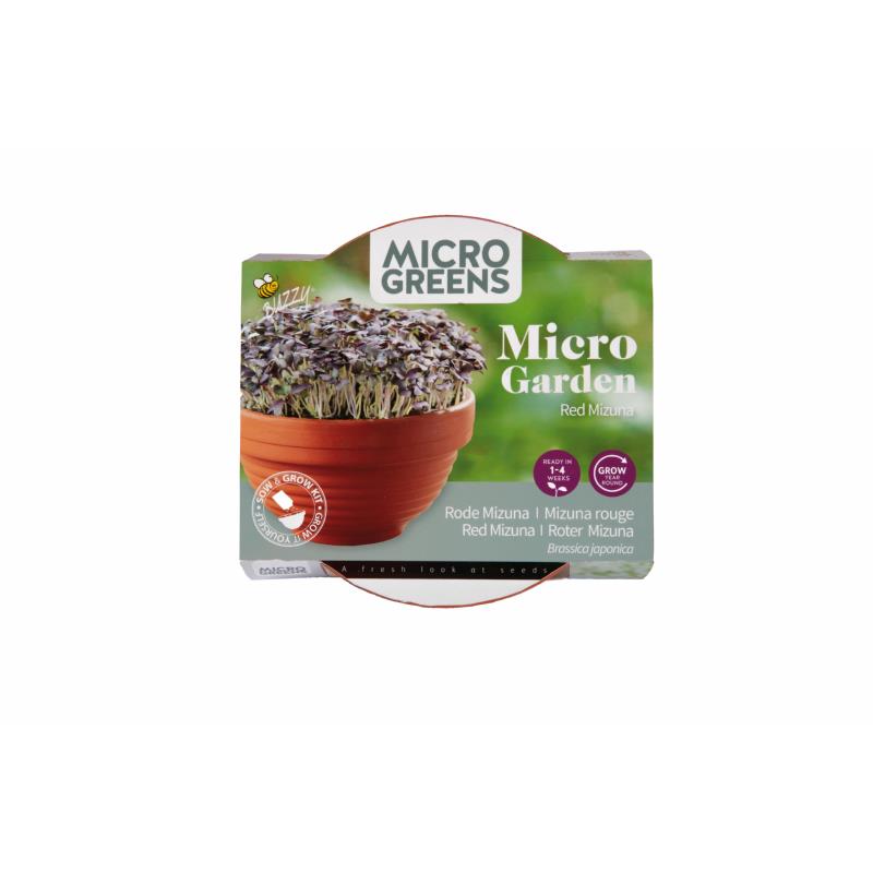 Buzzy® Microgreens Terracotta schaal Rode Mizuna