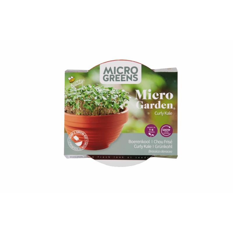 Buzzy® Microgreens Terracotta schaal Boerenkool