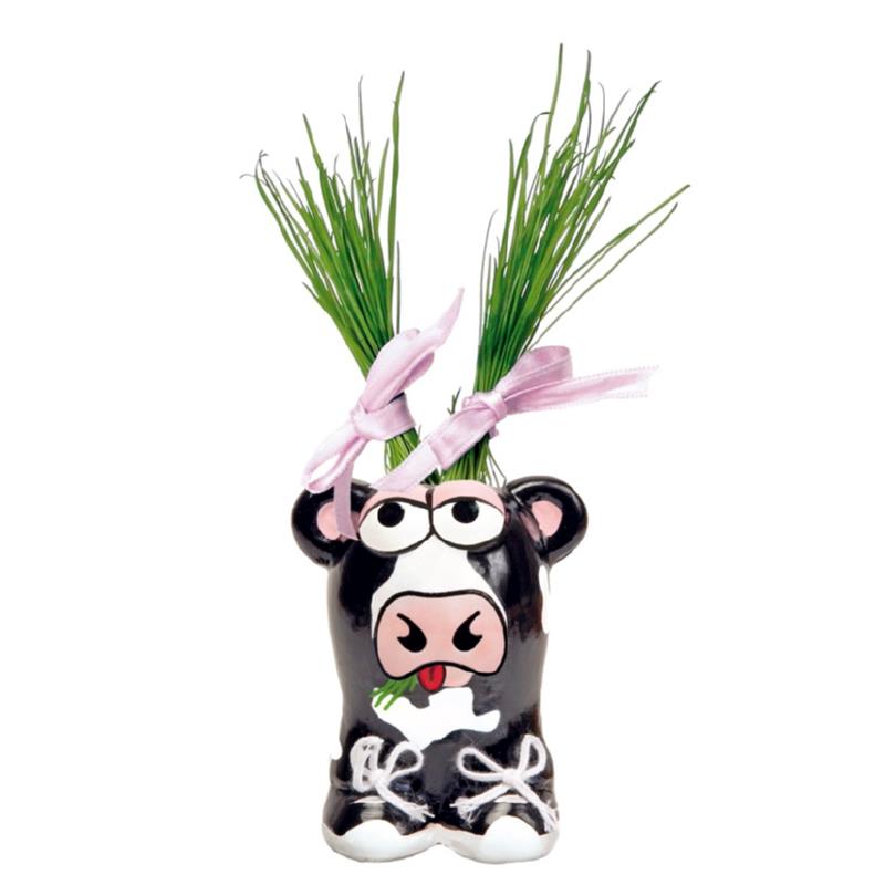 Doos Munakuppi - Koe 30 st in KOKER