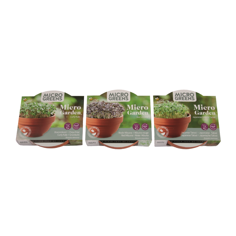 Buzzy® Microgreens Terracotta schaal Rode Mizuna