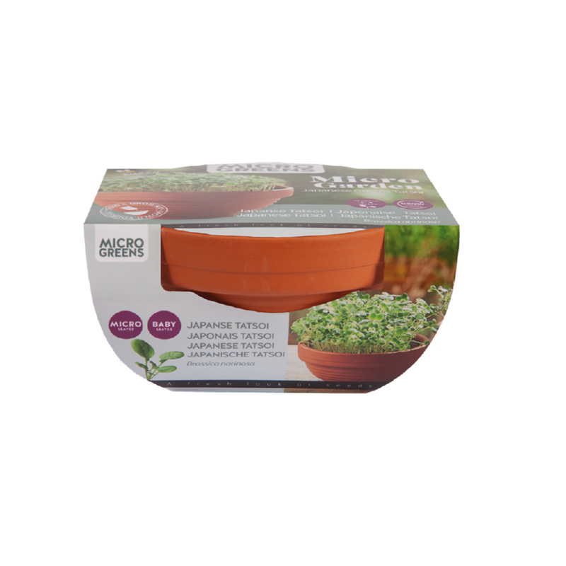 Buzzy® Microgreens Terracotta schaal Tatsoi