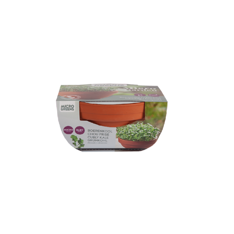 Buzzy® Microgreens Terracotta schaal Boerenkool
