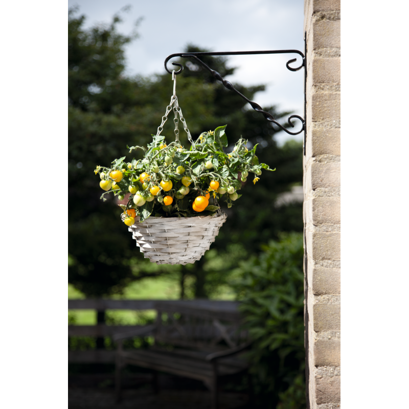 Buzzy® Happy Garden, Paniers Suspendus Tomate Cherry Yellow