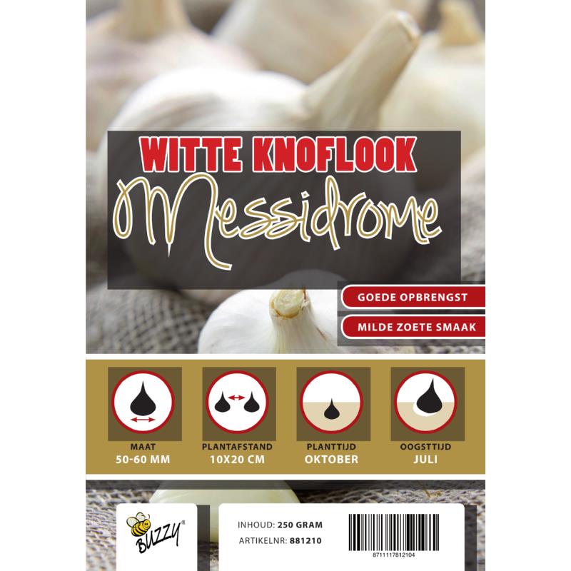 Winter Knoflook Messidrome/Germidour 5 stuks