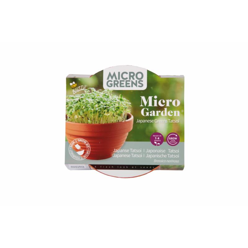 Buzzy® Microgreens Terracotta schaal Tatsoi