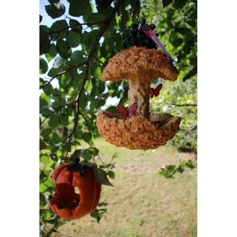 Bird Fruit Feeder Pompoen (4)