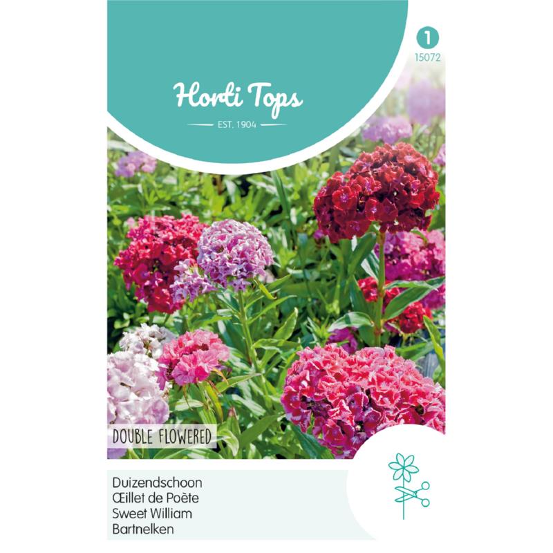 HT Dianthus, Duizendschoon dubbelbloemig gemengd