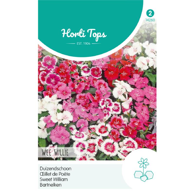 HT Dianthus, Duizendschoon Wee Willie gemengd