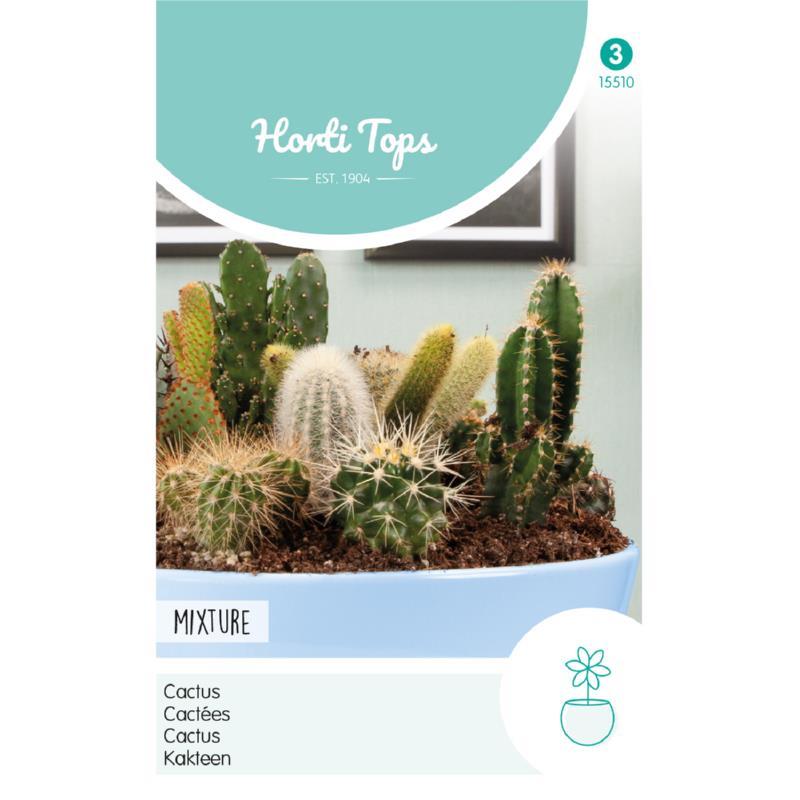 HT Cactus All-Round Mengsel