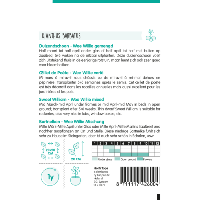 HT Dianthus, Duizendschoon Wee Willie gemengd