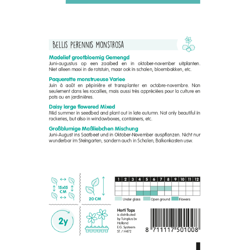 HT Bellis Perennis, Madelief Monstrosa dubbelbloemig gemengd