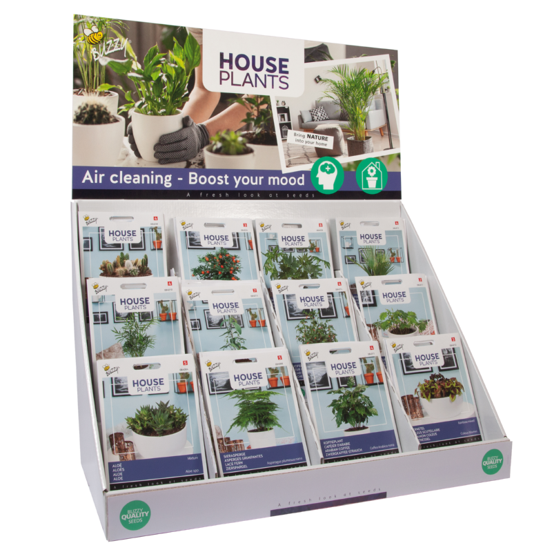 Buzzy® Display House Plants 12x10