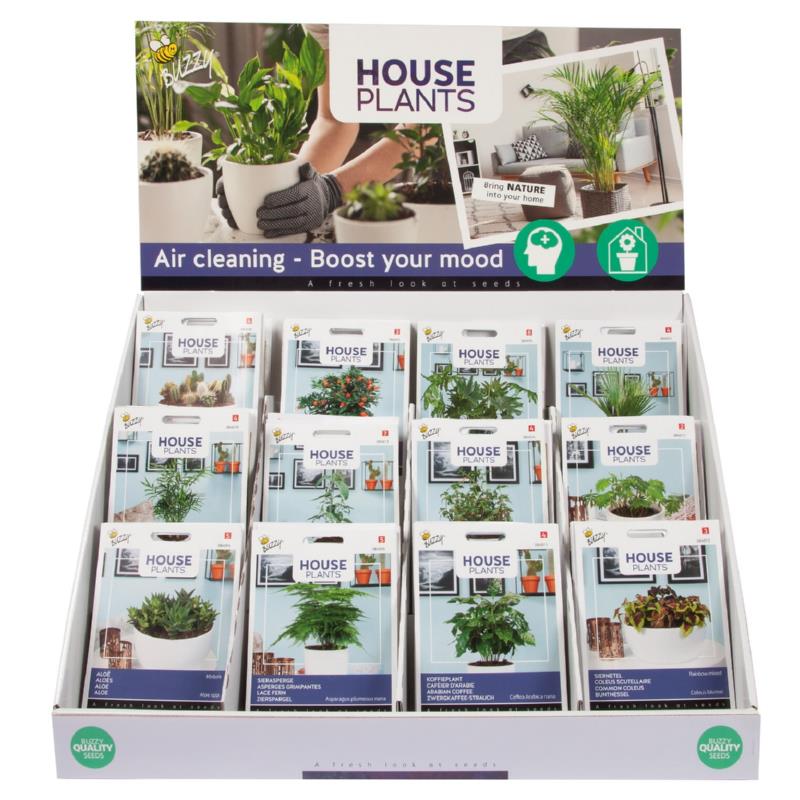 Buzzy® Display House Plants 12x10