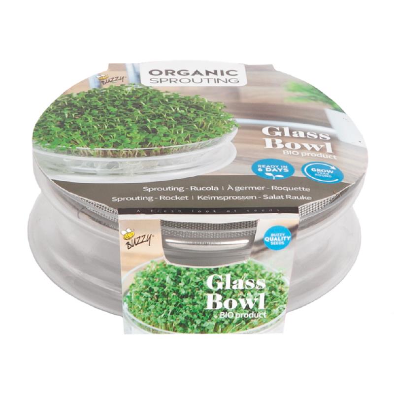 Buzzy® Organic Sprouting Glazen Bowl met Rucola  BIO