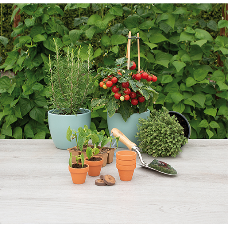 SOGO Stenen terracotta potjes 5/6cm 9st.