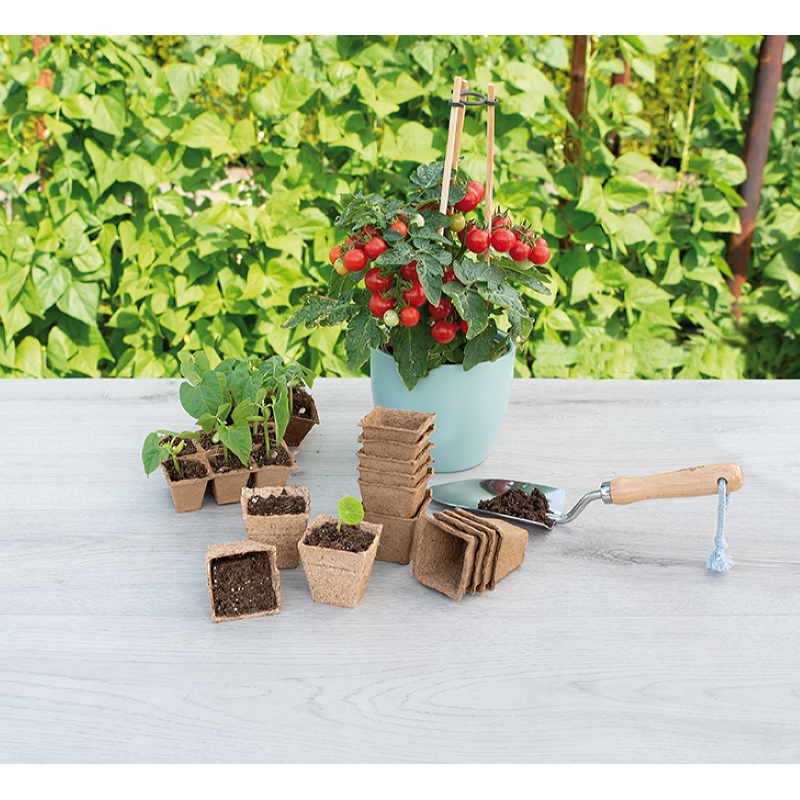 SOGO Biologische Potjes 6cm vierkant 10st