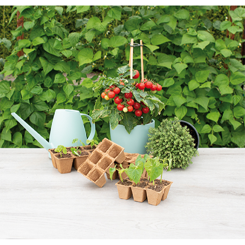 SOGO Biologische Potjes 4x4cm 6 strips à 6st.