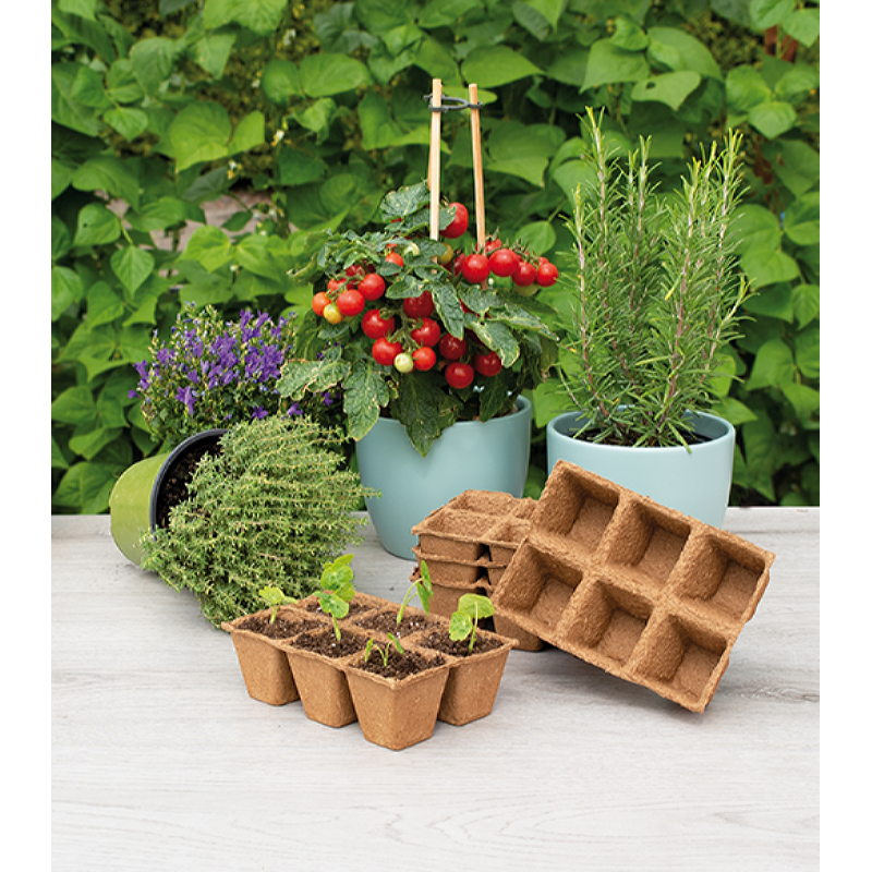 SOGO Biologische Potjes 6x6cm 5 strips à 6st.