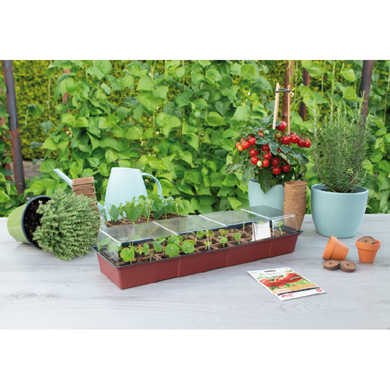 SOGO Vensterbank kweekkas 30 kweekpotjes