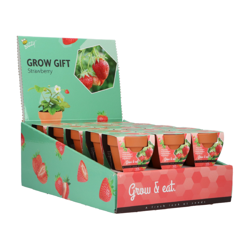 Buzzy® Grow Gifts Aardbei 30st. in display