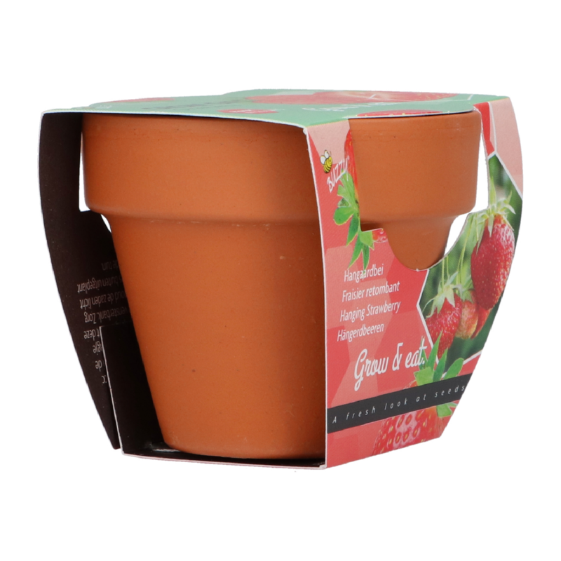 Buzzy® Grow Gifts Aardbei 30st. in display