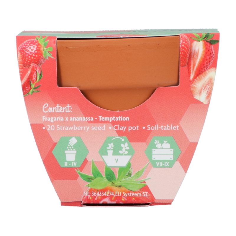 Buzzy® Grow Gifts Aardbei 30st. in display