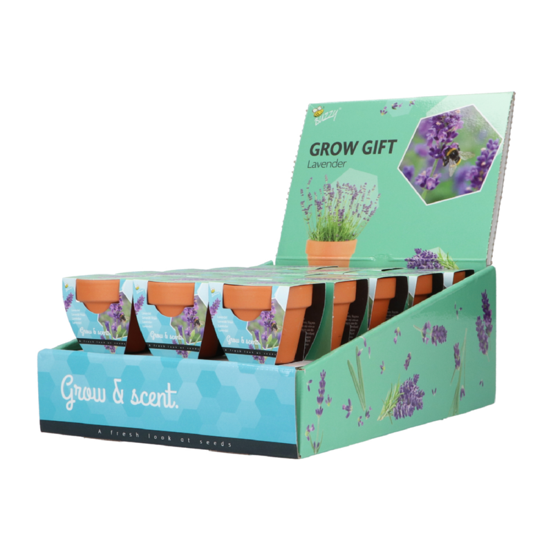 Buzzy® Grow Gifts Lavande 30pcs. en display