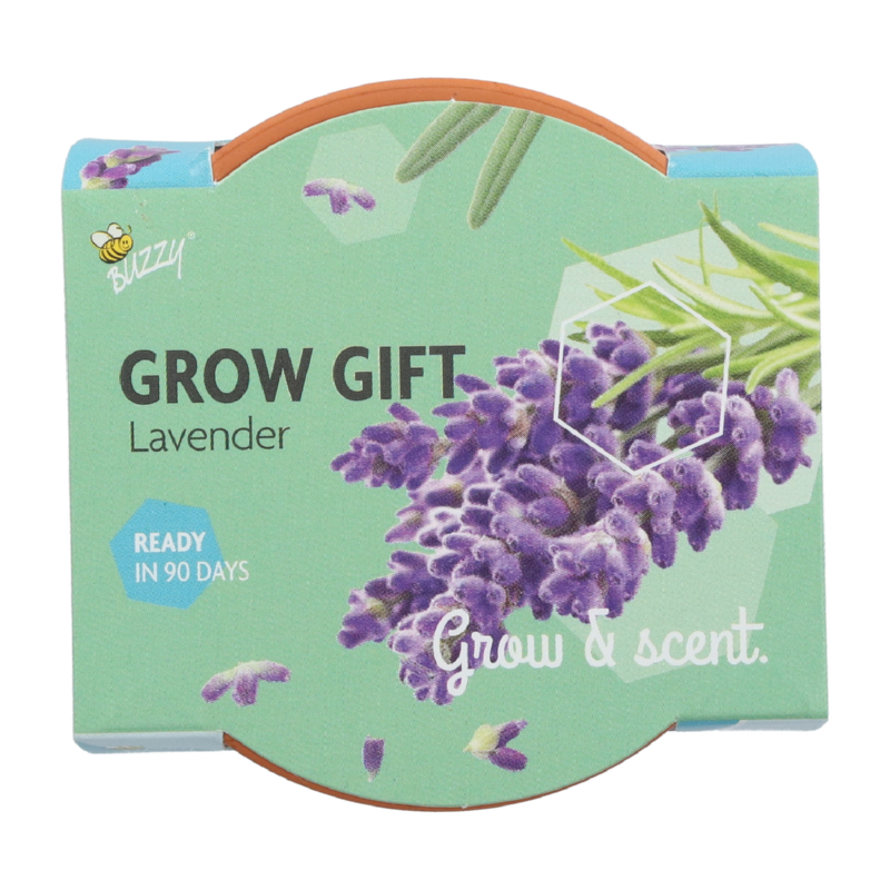 Buzzy® Grow Gifts Lavande 30pcs. en display